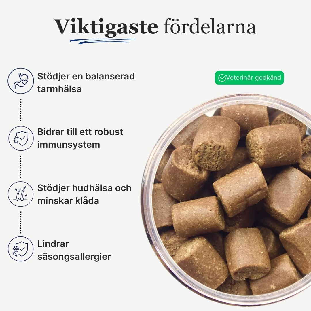 Probiotika - Mjuka tuggisar för mage och matsmältning